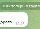 Мошенники в Великих Луках скупают Пушкинские карты - 2023-02-14 10:05:00 - 4