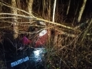 Двоих великолучан нашли погибшими спустя месяц поисков - 2021-11-07 21:56:44 - 3