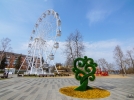 Дерево любви появилось в Великих Луках - 2021-04-16 15:53:00 - 4