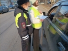 Сотрудники ГИБДД провели профилактическую акцию в Великих Луках - 2022-03-03 11:05:00 - 5