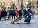 Эстафету акции «Студенческий десант» приняли в Великих Луках - 2023-01-20 09:35:00 - 13