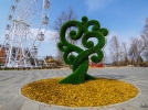 Дерево любви появилось в Великих Луках - 2021-04-16 15:53:00 - 3