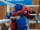 В тайском боксе соревновались юные великолучане - 2024-05-25 19:47:00 - 10