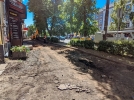 В Великих Луках ремонтируют резонансный тротуар - 2022-06-23 12:07:00 - 7