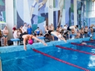 Великолукские спасатели в числе победителей и призеров соревнований по плаванию - 2024-06-27 15:35:00 - 14
