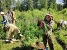 На заповедных территориях проходят летние полевые и производственные практики - 2024-07-06 15:05:00 - 6