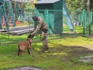 В Псковской области продолжается всероссийская акция «Каникулы с Росгвардией» - 2024-08-17 16:05:00 - 5