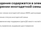 В Псковской области протестируют цифровое удостоверение для многодетных семей - 2024-09-27 16:35:00 - 3