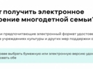 В Псковской области протестируют цифровое удостоверение для многодетных семей - 2024-09-27 16:35:00 - 4