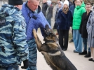 Служебные собаки продемонстрировали свои умения псковским студентам - 2024-12-11 11:05:00 - 8