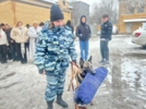 Полицейские собаки продемонстрировали великолукским студентам свои таланты - 2025-01-23 15:35:00 - 15