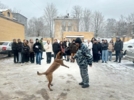 Полицейские собаки продемонстрировали великолукским студентам свои таланты - 2025-01-23 15:35:00 - 10