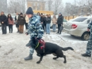 Полицейские собаки продемонстрировали великолукским студентам свои таланты - 2025-01-23 15:35:00 - 12