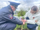 «Сад Памяти» появился возле великолукского инженерно-экономического лицея - 2025-05-06 16:35:00 - 7