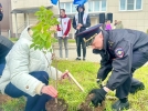 «Сад Памяти» появился возле великолукского инженерно-экономического лицея - 2025-05-06 16:35:00 - 5