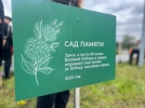 «Сад Памяти» появился возле великолукского инженерно-экономического лицея - 2025-05-06 16:35:00 - 8