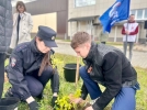 «Сад Памяти» появился возле великолукского инженерно-экономического лицея - 2025-05-06 16:35:00 - 4