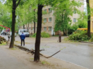 На Ставского в Великих Луках дерево оборвало провода - 2025-05-28 11:15:00 - 3