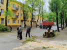 На Ставского в Великих Луках дерево оборвало провода - 2025-05-28 11:15:00 - 5