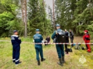 «ЛизаАлерт» и спасатели Псковской области провели совместные учения - 2025-06-05 12:35:00 - 12
