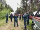 «ЛизаАлерт» и спасатели Псковской области провели совместные учения - 2025-06-05 12:35:00 - 5