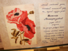 В Пскове прошла акция «Каникулы с Общественным советом» - 2025-06-18 10:05:00 - 5