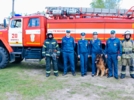 Сотрудники МЧС рассказали детям о четвероногих героях войны - 2025-06-23 11:35:00 - 3