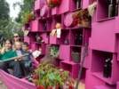 В Пскове открылась эногастрономическая ярмарка «Виноград» - 2025-06-30 09:35:00 - 4