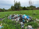В Великолукском районе обнаружена очередная незаконная свалка - 2025-07-08 12:35:00 - 7