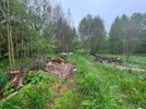 В Великолукском районе обнаружена очередная незаконная свалка - 2025-07-08 12:35:00 - 5