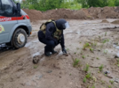 В Пскове сотрудники Росгвардии обезвредили боеприпас времён войны - 2025-07-11 13:35:00 - 4