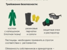 Великолучане могут дополнять карту распространения борщевика - 2025-07-16 11:35:00 - 7
