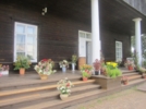 Выставка цветов и растений украсила Усадьбу Тригорское - 2025-07-25 10:35:00 - 5