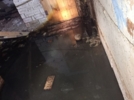 Великолучане пожаловались на свою управляющую компанию - 2025-10-08 18:05:00 - 7