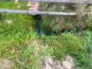 Великолучане обратились к властям из-за сброса канализации в воду - 2025-10-09 13:05:00 - 3