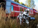 Учения по ликвидации разлива нефти прошли на Октябрьской железной дороге - 2025-10-10 09:35:00 - 10