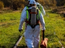 Учения по ликвидации разлива нефти прошли на Октябрьской железной дороге - 2025-10-10 09:35:00 - 8