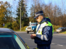 В Псковской области прошла операция по борьбе с угонами автомобилей - 2025-10-27 14:35:00 - 7