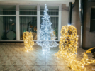 В Великих Луках появилась праздничная иллюминация - 2025-12-11 13:11:00 - 3