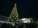 Открытие елки состоялось в Великих Луках - 2025-12-21 20:02:00 - 6