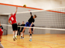 Псковские студенты и полицейские сыграли в волейбол - 2026-01-23 16:35:00 - 3