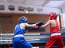 В турнире по боксу в Великих Луках приняли участие 120 спортсменов - 2026-02-16 10:35:00 - 7
