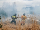 Учения по тушению ландшафтного пожара прошли в Псковском округе - 2026-04-17 15:05:00 - 5