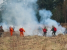 Учения по тушению ландшафтного пожара прошли в Псковском округе - 2026-04-17 15:05:00 - 4