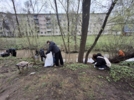 Берега Старореченского ручья очистили в Великих Луках - 2026-04-20 17:05:00 - 9