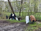 Берега Старореченского ручья очистили в Великих Луках - 2026-04-20 17:05:00 - 6