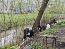 Берега Старореченского ручья очистили в Великих Луках - 2026-04-20 17:05:00 - 5