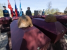 В Псковском районе перезахоронили останки более сотни красноармейцев - 2026-05-12 12:05:00 - 3