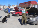 Соревнования по многоборью специалистов-кинологов прошли в Карелии - 2026-05-17 14:05:00 - 3