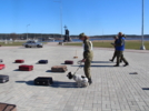 Соревнования по многоборью специалистов-кинологов прошли в Карелии - 2026-05-17 14:05:00 - 4